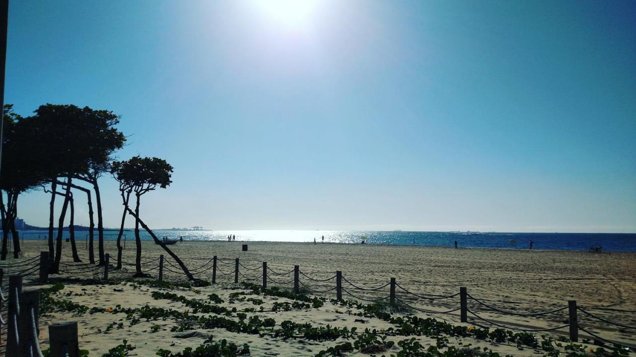Flat Pasargada 812, Free Bikes, Pe Na Praia วีลา เวลยา ภายนอก รูปภาพ